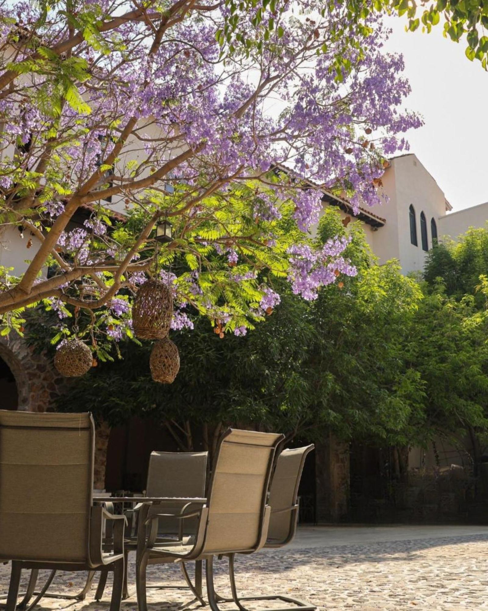 Suites Campestres Montebello برنال المظهر الخارجي الصورة